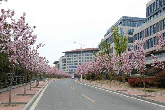 北京航空航天大学青岛研究院(北京航空航天大学青岛校区研究生院)